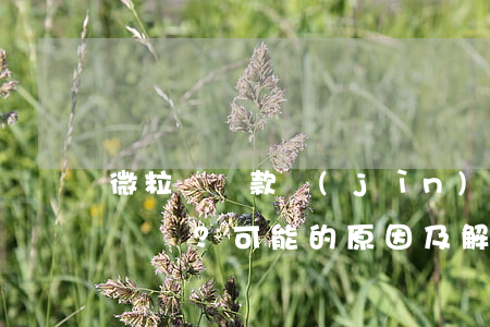微粒貸還款進(jìn)不去怎么回事？可能的原因及解決辦法